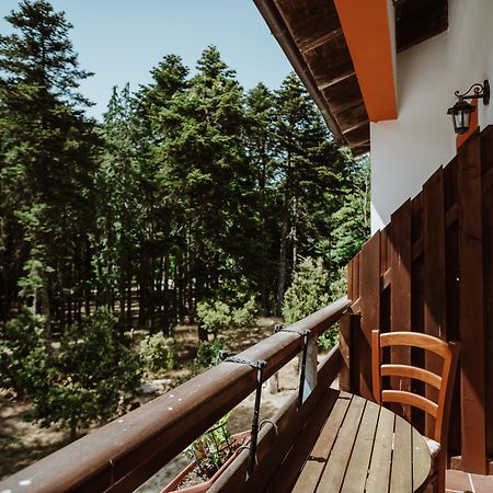 Vallicciola Nature Hotel Tempio Pausania Ngoại thất bức ảnh
