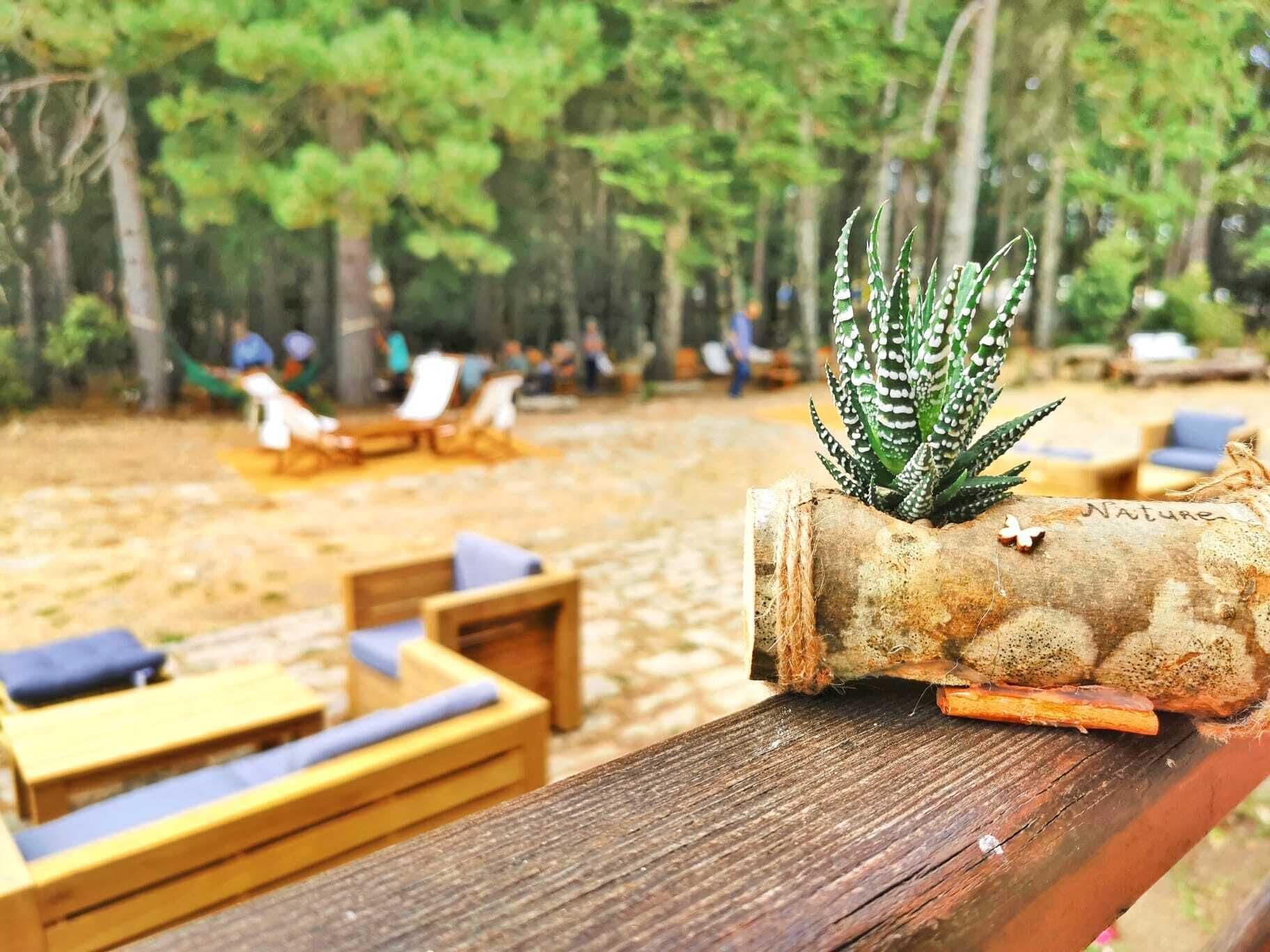Vallicciola Nature Hotel Tempio Pausania Ngoại thất bức ảnh